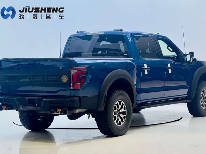 Ford F-150 Raptor, 2023 — фото 8 из 9