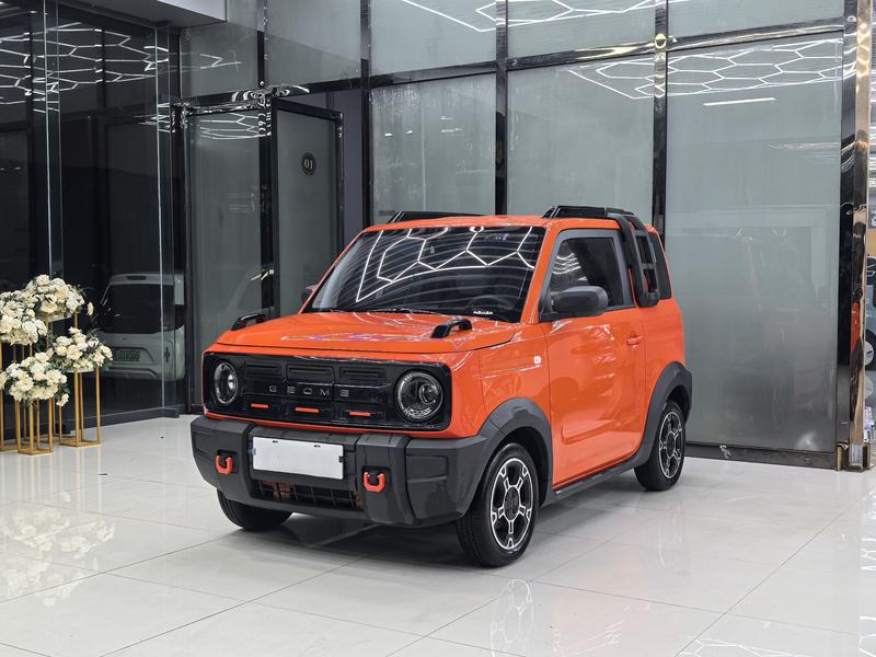 Geely Galaxy Panda Mini, 2025 — купить в Пензе под ключ