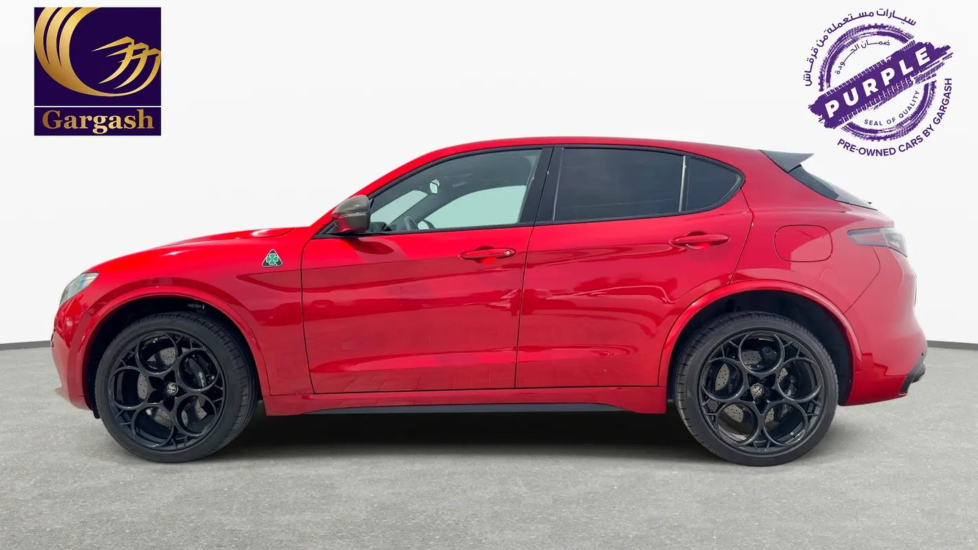 Alfa Romeo Stelvio, 2025 — фото 3 из 10