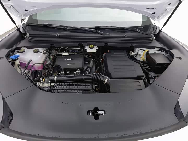 BYD Sea Lion 06 Hybrid/EV, 2025 — фото 6 из 9