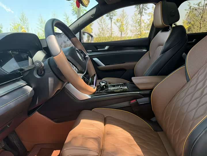 BYD Tang Hybrid/EV, 2022 — фото 8 из 9