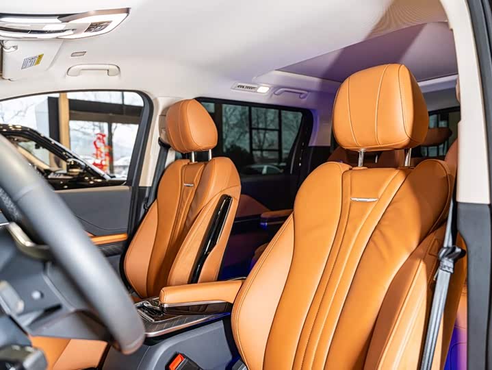 Hongqi HQ9 Hybrid, 2025 — фото 9 из 9
