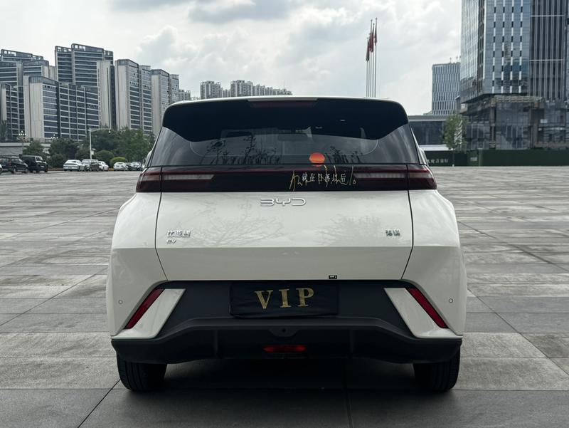 BYD Seagull, 2024 — фото 5 из 10