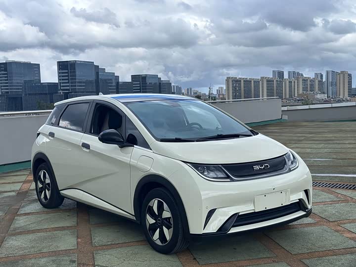 BYD Dolphin, 2024 — купить в Самаре под ключ