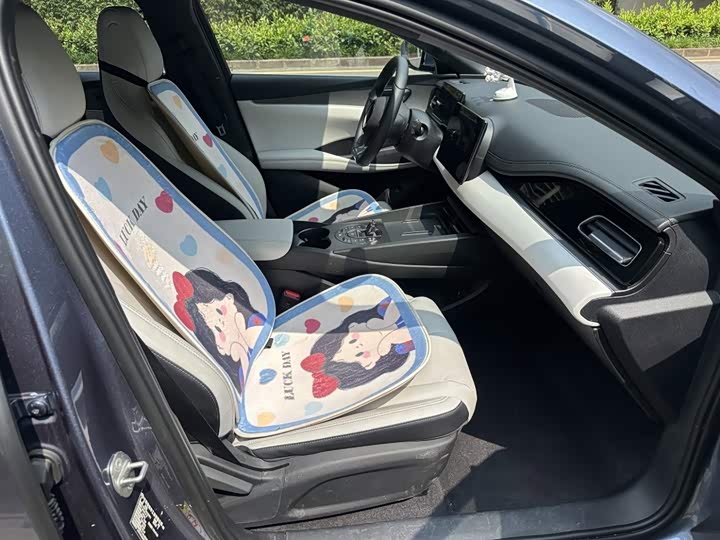 BYD Seal 06 Hybrid/EV, 2024 — фото 9 из 9