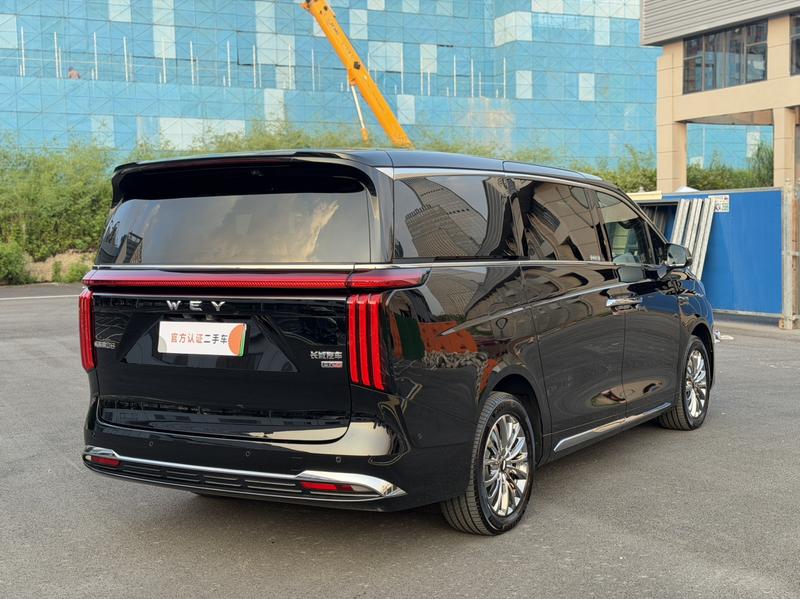 Wey 80 Hybrid, 2025 — фото 6 из 12