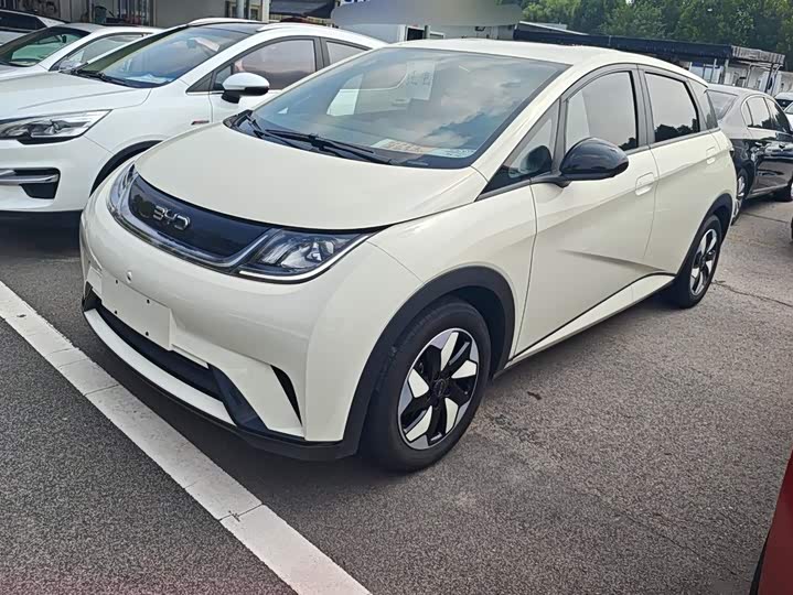 BYD Dolphin, 2024 — купить в Санкт-Петербурге под ключ