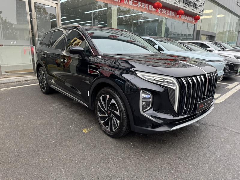 Hongqi HS7 Hybrid, 2024 — фото 3 из 10