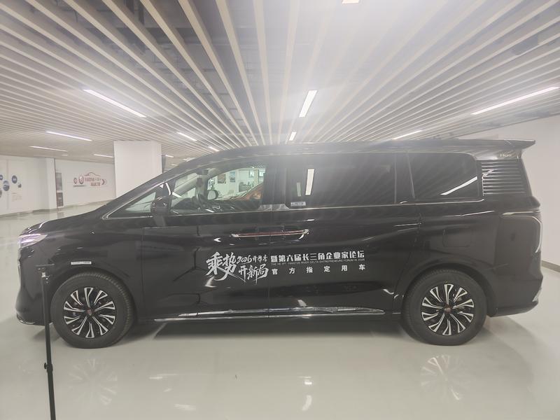 Hongqi HQ9 Hybrid, 2024 — фото 3 из 11