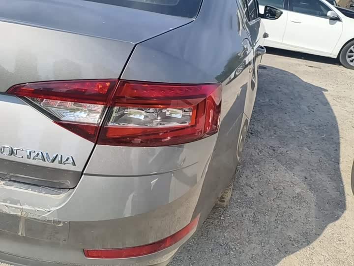 Skoda Octavia Pro, 2021 — фото 8 из 9