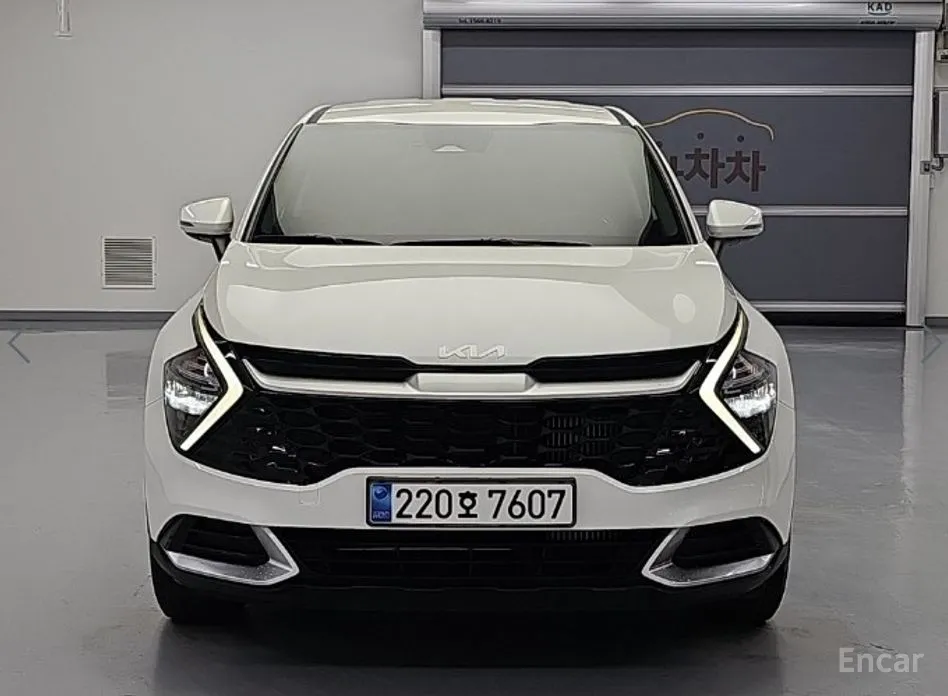 Kia Sportage, 2023 — фото 2 из 12