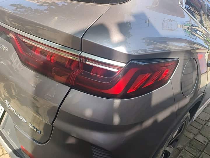 BYD Song Plus Hybrid/EV, 2021 — фото 8 из 9