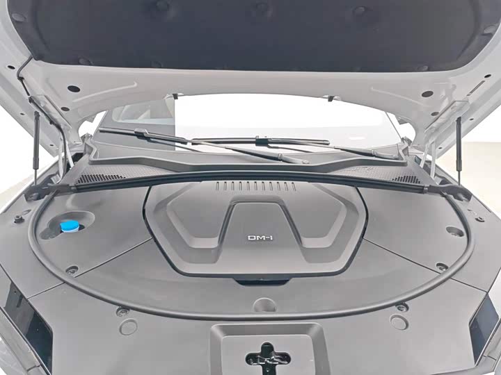 BYD Song Plus Hybrid/EV, 2023 — фото 6 из 9