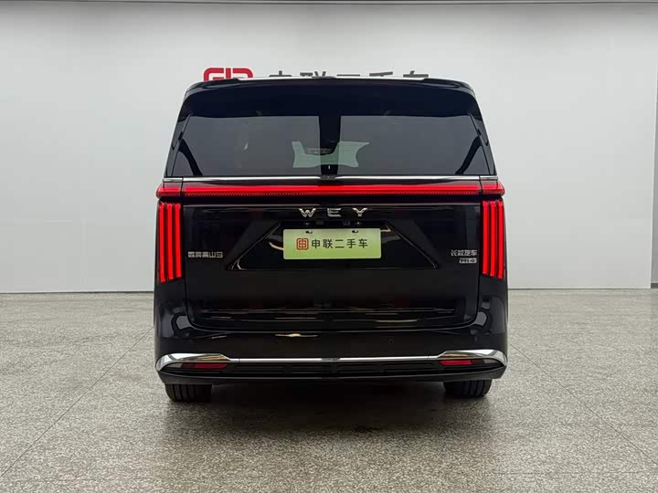 Wey 80 Hybrid, 2025 — фото 3 из 9