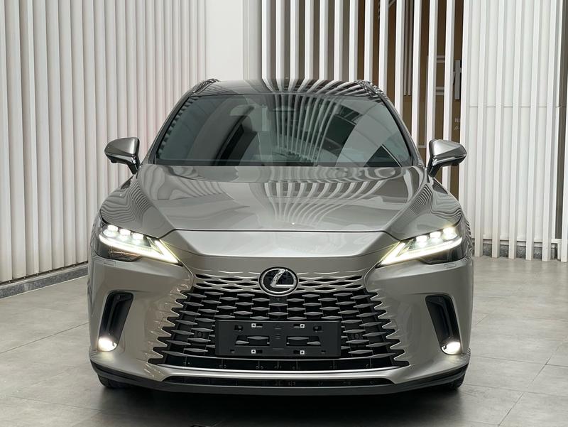 Lexus RX Hybrid, 2023 — фото 2 из 10