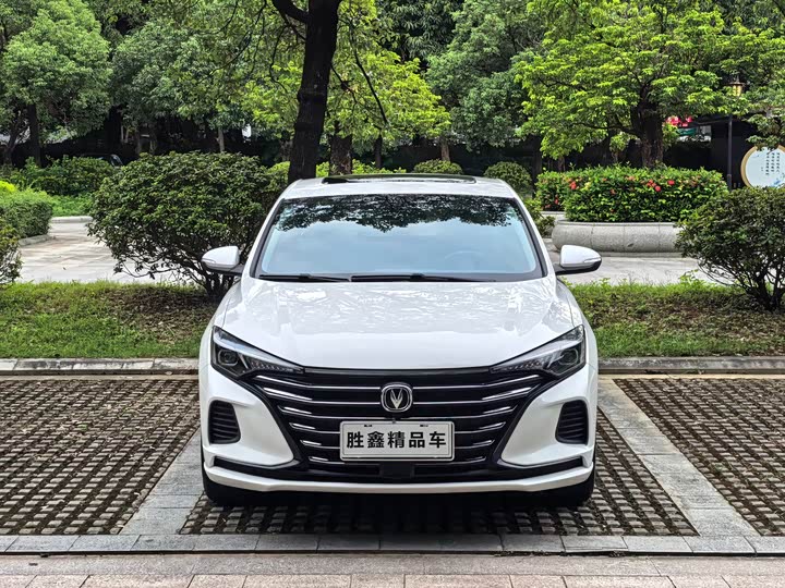 Changan Eado Plus, 2021 — фото 2 из 9