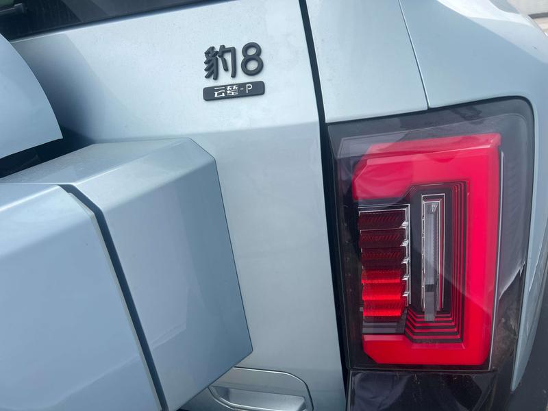 BYD FangChengBao Leopard 8, 2024 — фото 7 из 12