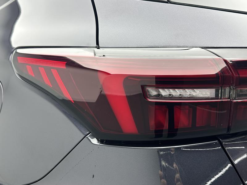 Exeed LX C-DM Hybrid, 2025 — фото 10 из 12