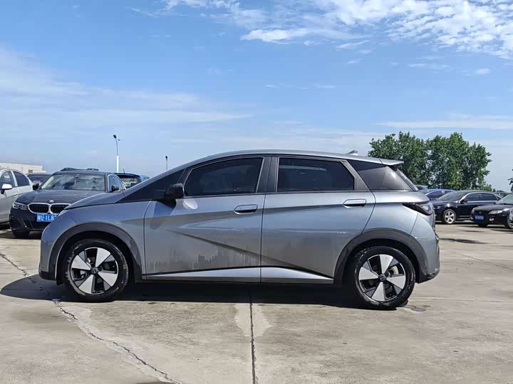 BYD Dolphin, 2023 — фото 7 из 9
