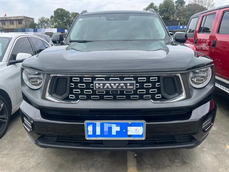 Haval H-Dog, 2023 — фото 2 из 12