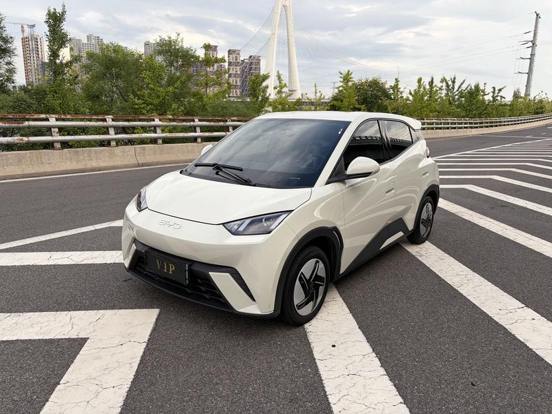 BYD Seagull, 2024 — купить в Саранске под ключ