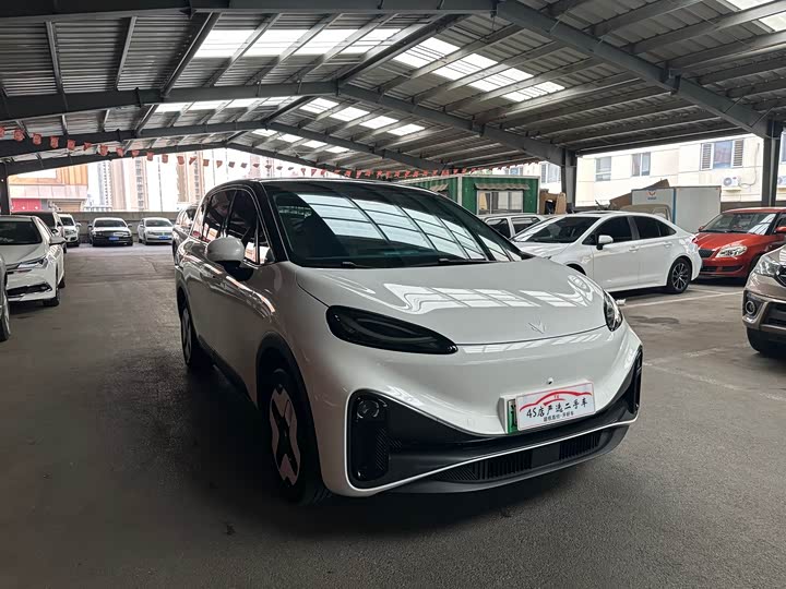 BAIC Arcfox Kaola, 2024 — фото 2 из 9