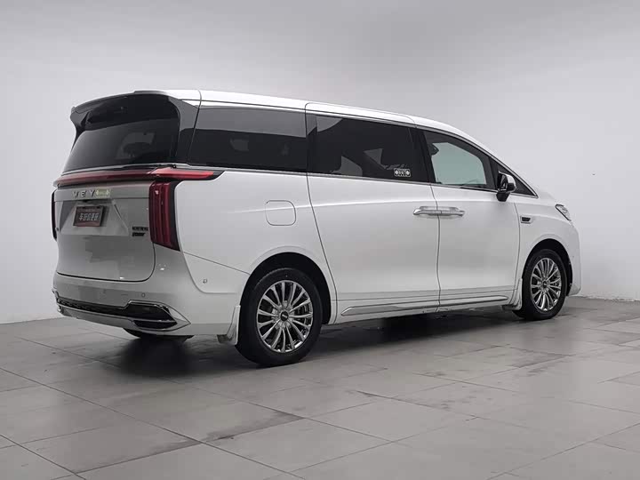 Wey 80 Hybrid, 2023 — фото 2 из 9