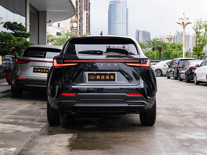 Lexus NX, 2024 — фото 5 из 9