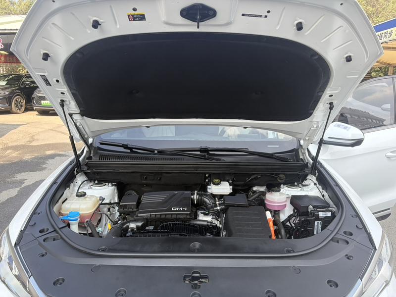 BYD Song Pro Hybrid, 2023 — фото 8 из 12