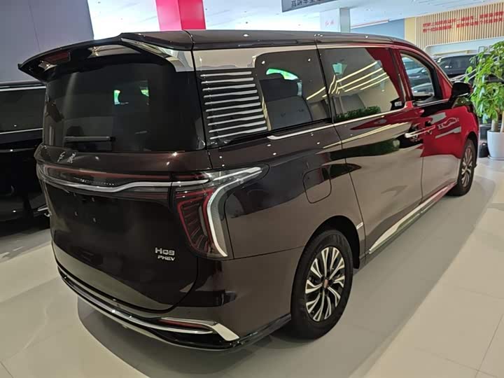 Hongqi HQ9 Hybrid, 2024 — фото 7 из 9