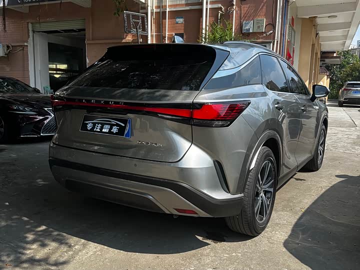 Lexus RX, 2022 — фото 9 из 9