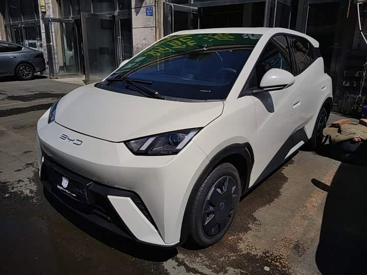 BYD Seagull, 2024 — купить в Чебоксарах под ключ
