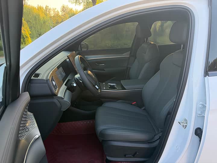 BYD Song Pro Hybrid, 2026 — фото 6 из 9