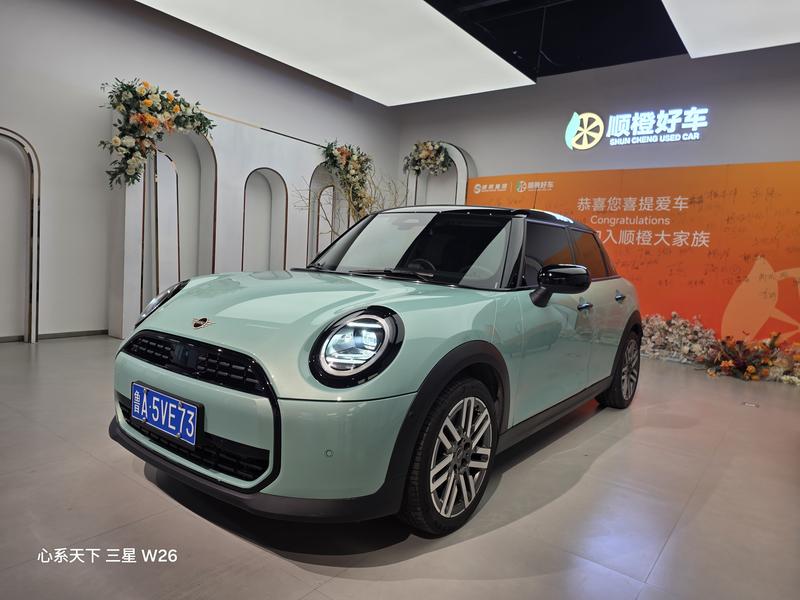 Mini Mini, 2025 — купить в Саратове под ключ
