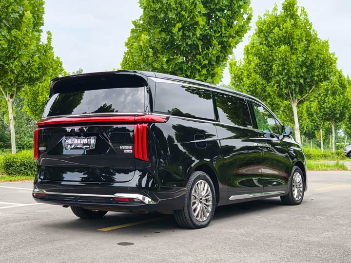 Wey 80 Hybrid, 2025 — фото 5 из 9