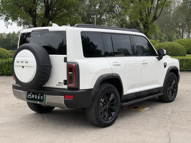 Haval Raptor Hybrid, 2025 — фото 7 из 12