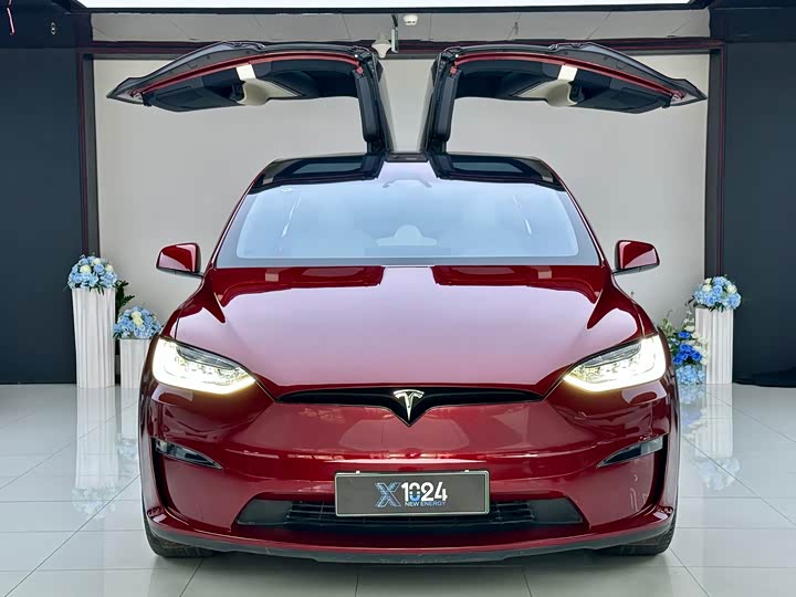 Tesla Model X, 2023 — фото 2 из 9