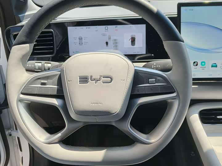 BYD Sea Lion 06 Hybrid/EV, 2025 — фото 7 из 9