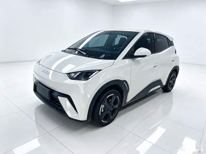 BYD Seagull, 2024 — купить в Саранске под ключ