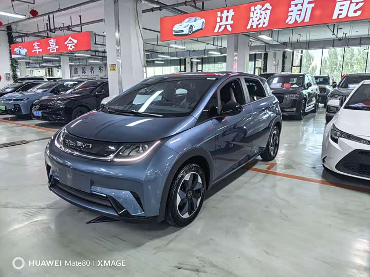 BYD Dolphin, 2025 — купить в Тамбове под ключ
