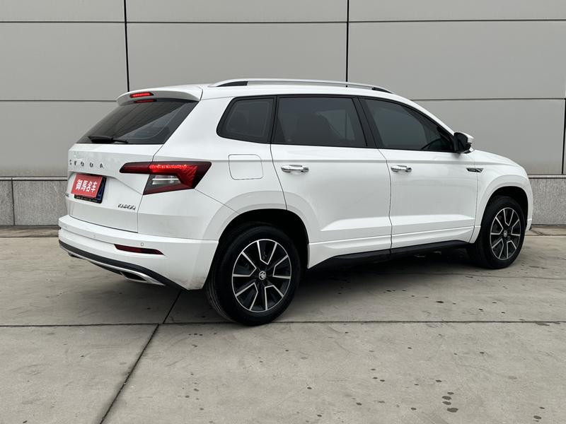 Skoda Karoq, 2024 — фото 6 из 11
