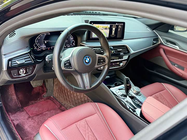 BMW 5 Series Hybrid, 2021 — фото 6 из 9