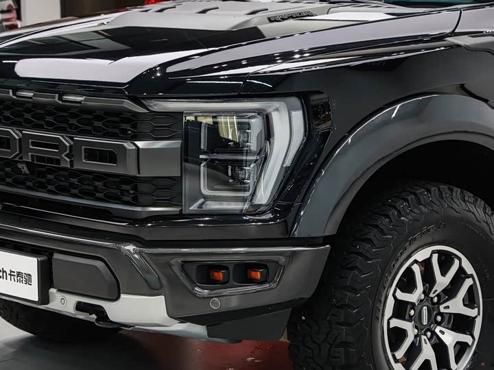 Ford F-150 Raptor, 2023 — фото 8 из 9