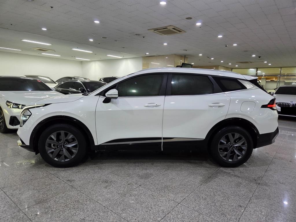 Kia Sportage, 2024 — фото 3 из 12