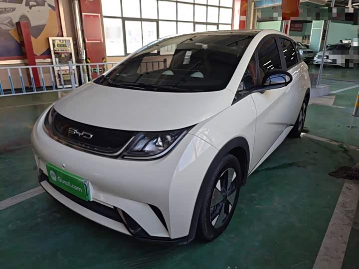 BYD Dolphin, 2023 — купить в Калуге под ключ