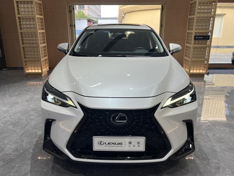 Lexus NX Hybrid, 2021 — фото 2 из 12