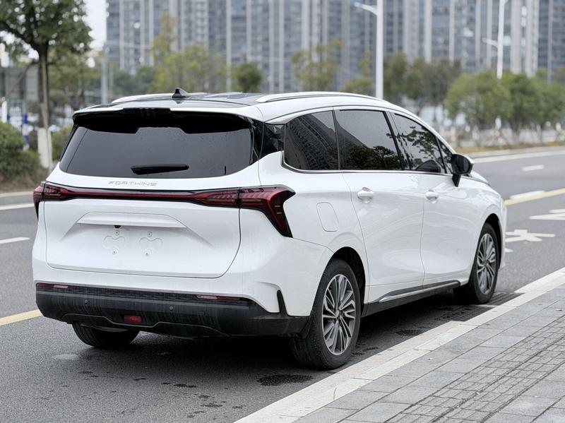 Dongfeng Forthing Yacht, 2023 — фото 7 из 12