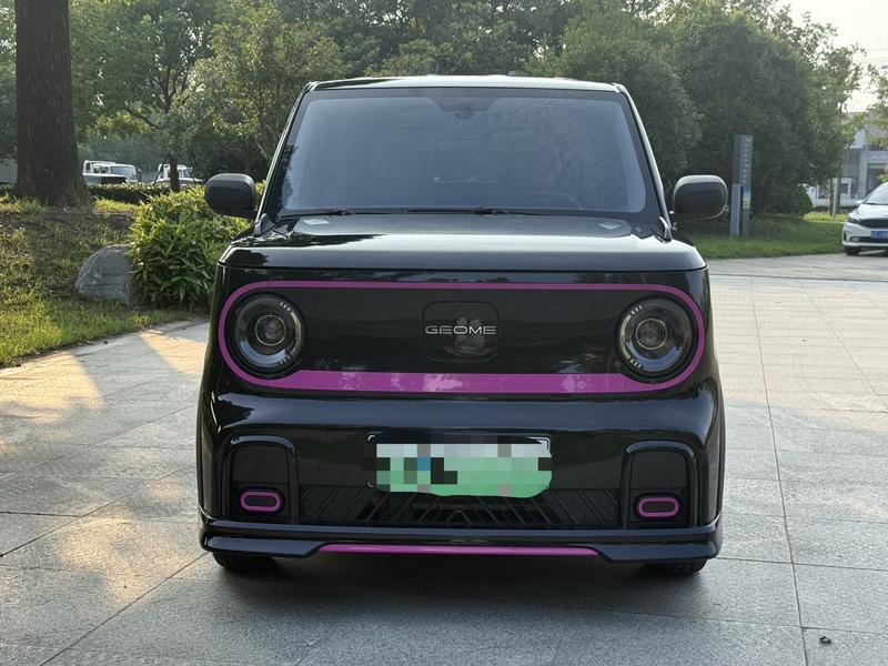 Geely Galaxy Panda Mini, 2024 — фото 2 из 12