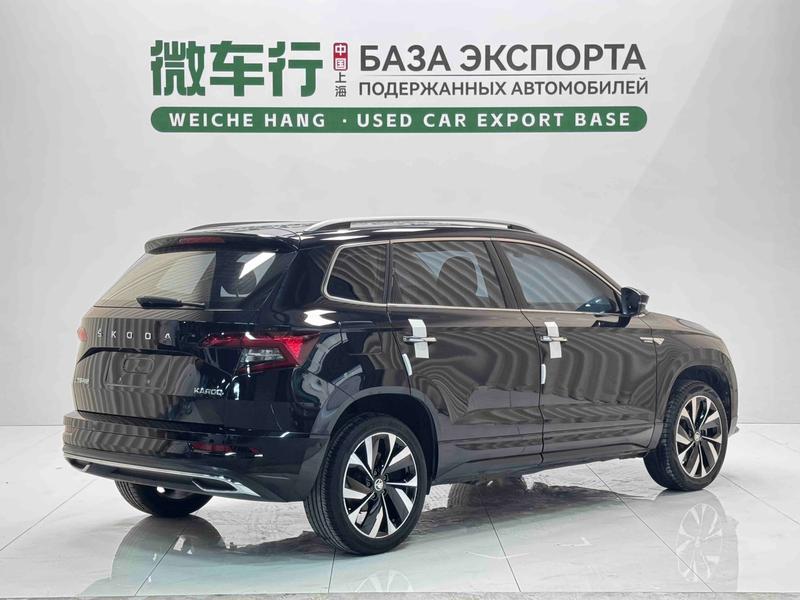 Skoda Karoq, 2023 — фото 6 из 12
