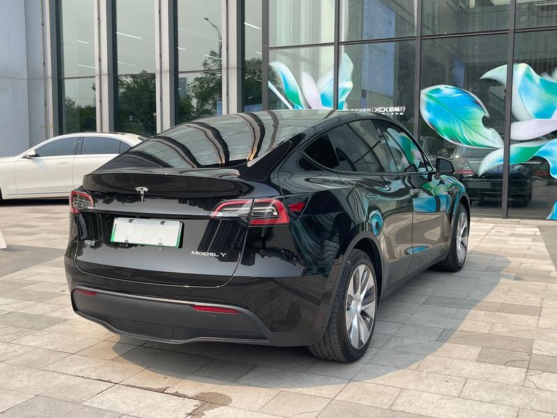 Tesla Model Y, 2021 — фото 6 из 12